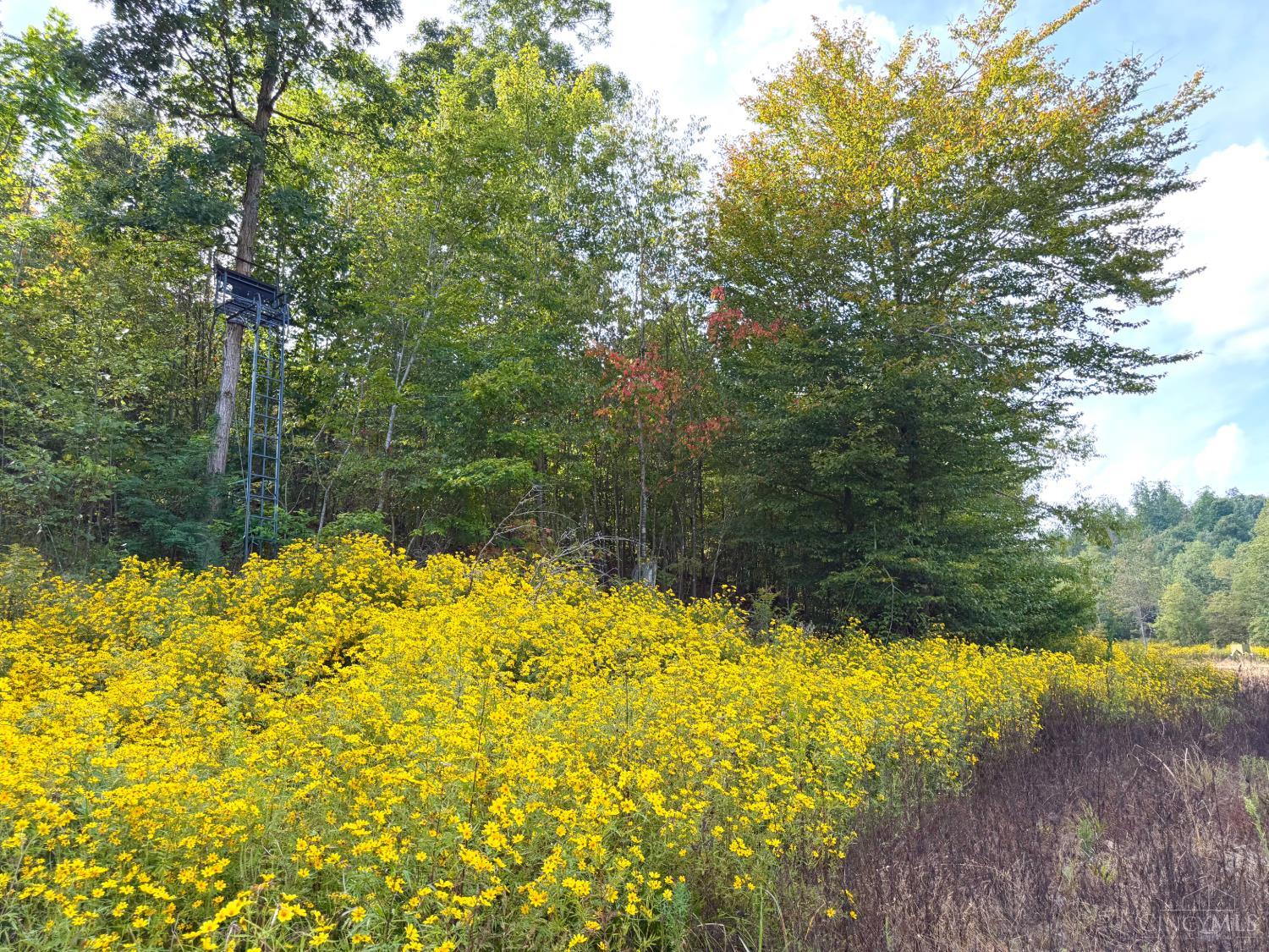 Roy Rogers Road, Lucasville, OH, 45648 — photo 77