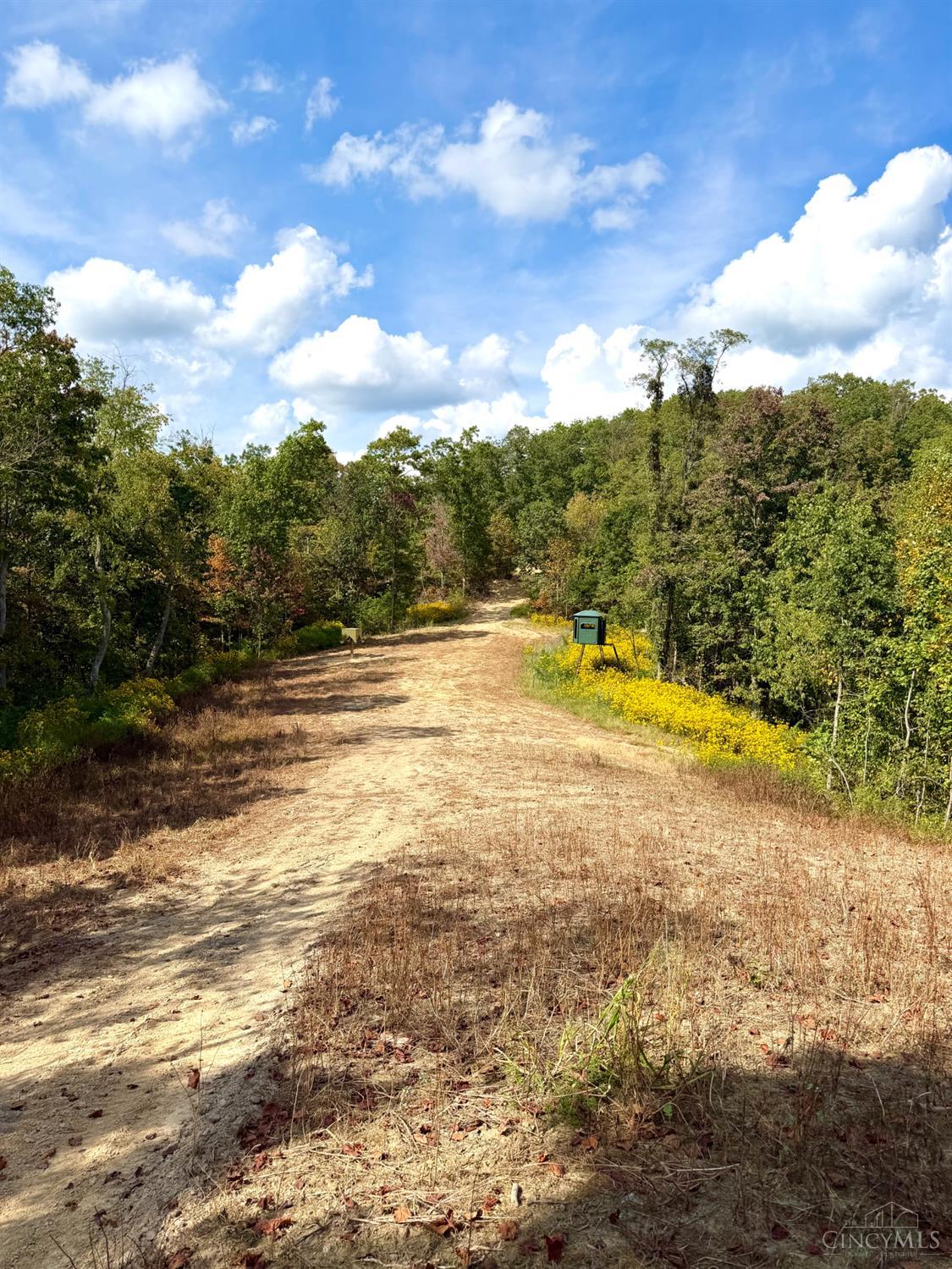 Roy Rogers Road, Lucasville, OH, 45648 — photo 32