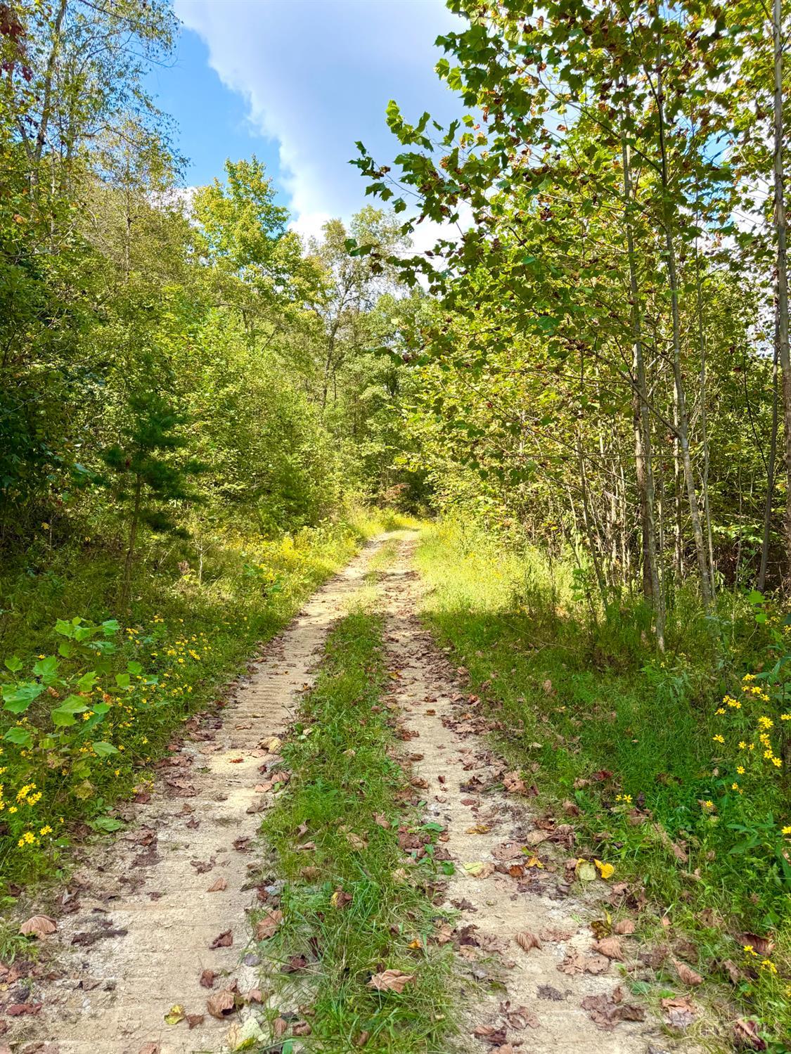 Photo 2 of Land for sale at Roy Rogers Rd, Lucasville, OH 45648 | MLS# 1893775 | Listing updated on 2026-09-15