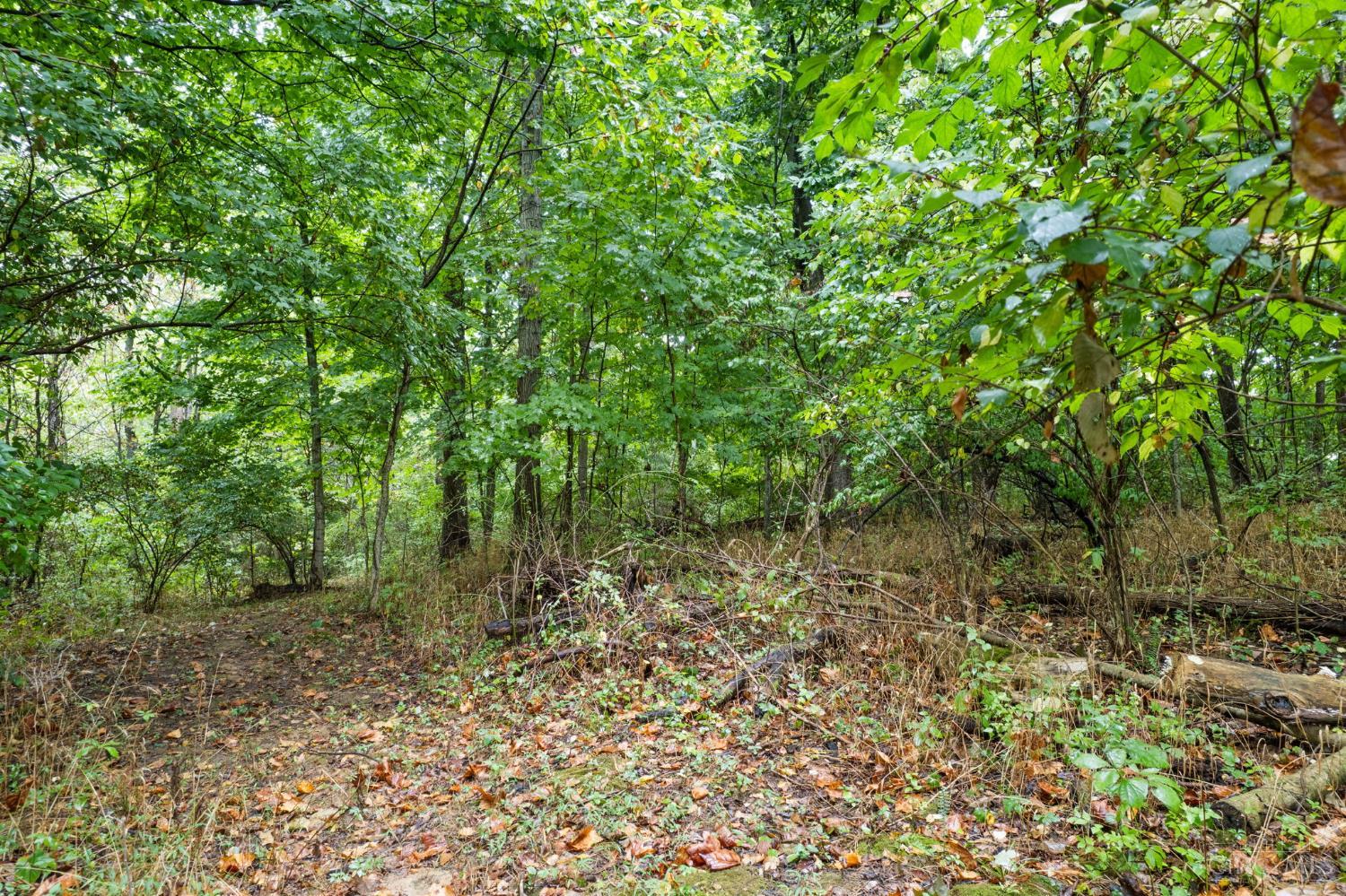 Swope Road, Tate Twp, OH, 45106 — photo 16