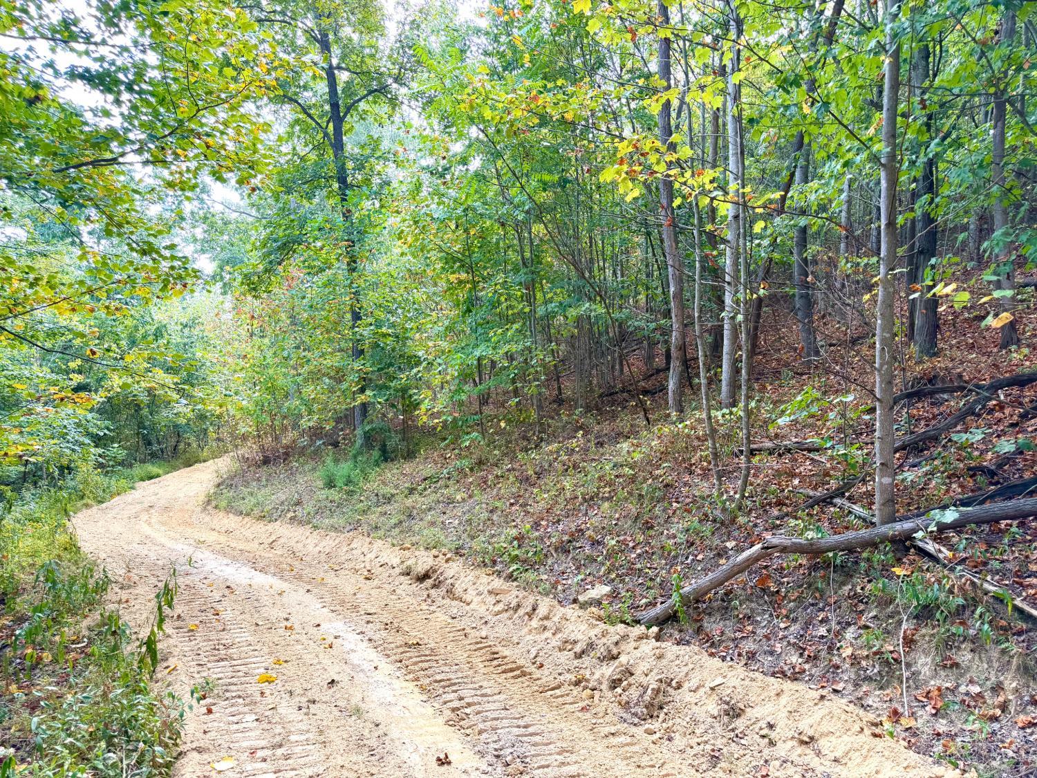 Roy Rogers Road, Lucasville, OH, 45648 — photo 48