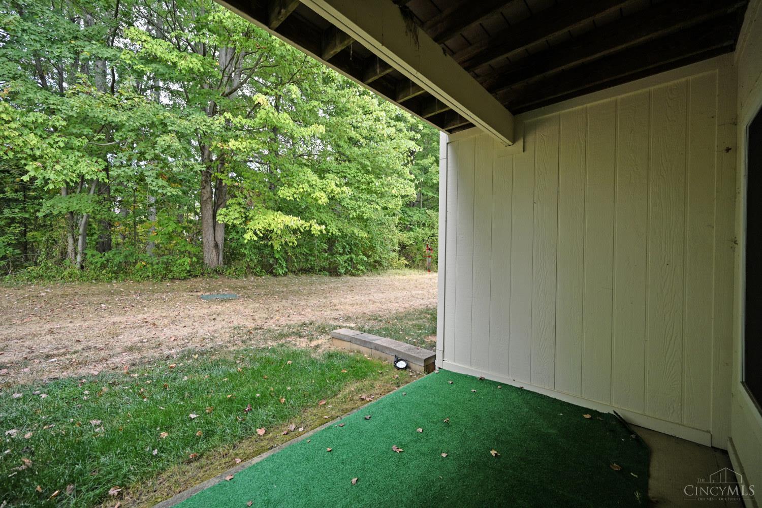31 Tall Trees Drive, Batavia Twp, OH, 45102 — photo 34