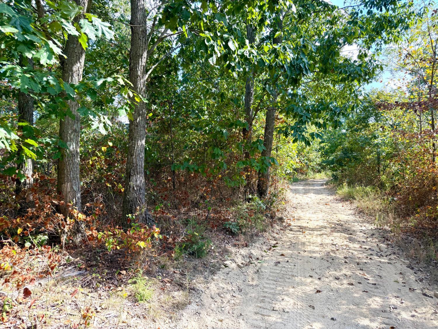 Roy Rogers Road, Lucasville, OH, 45648 — photo 35