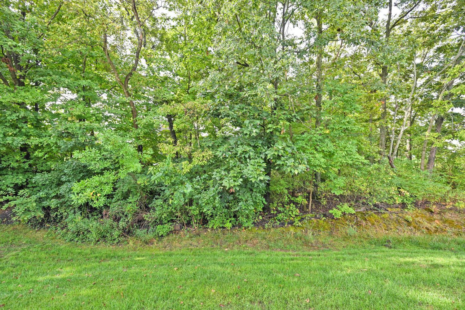 1341 Brookchase Circle, Hamilton Twp, OH, 45039 — photo 34