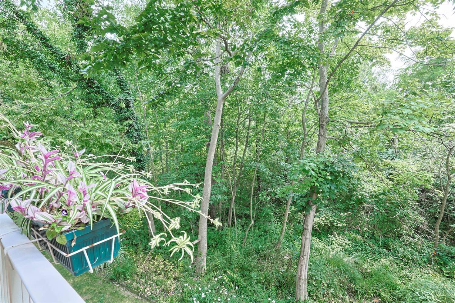 3351 Lindsay Lane #33, Colerain Twp, OH, 45251 — photo 44