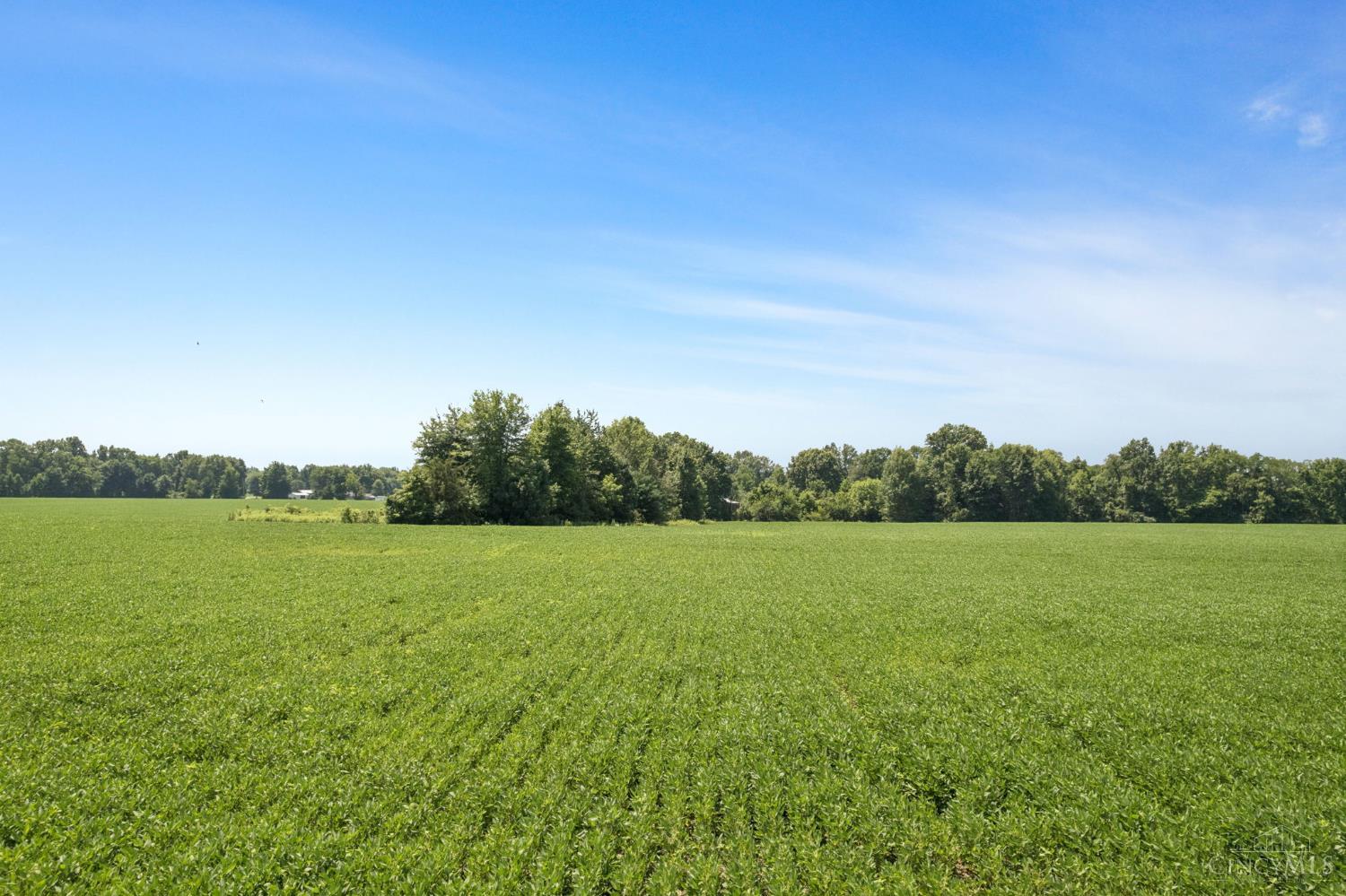 2303 Dean Road, Tate Twp, OH, 45106 — photo 19