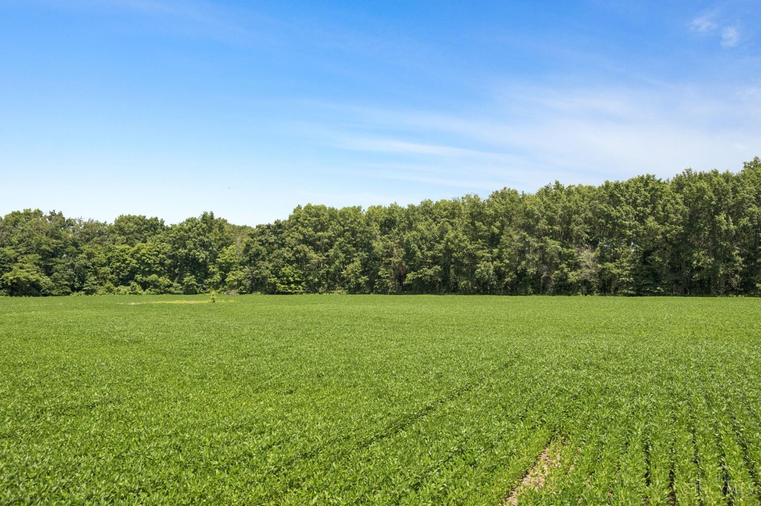 2303 Dean Road, Tate Twp, OH, 45106 — photo 18