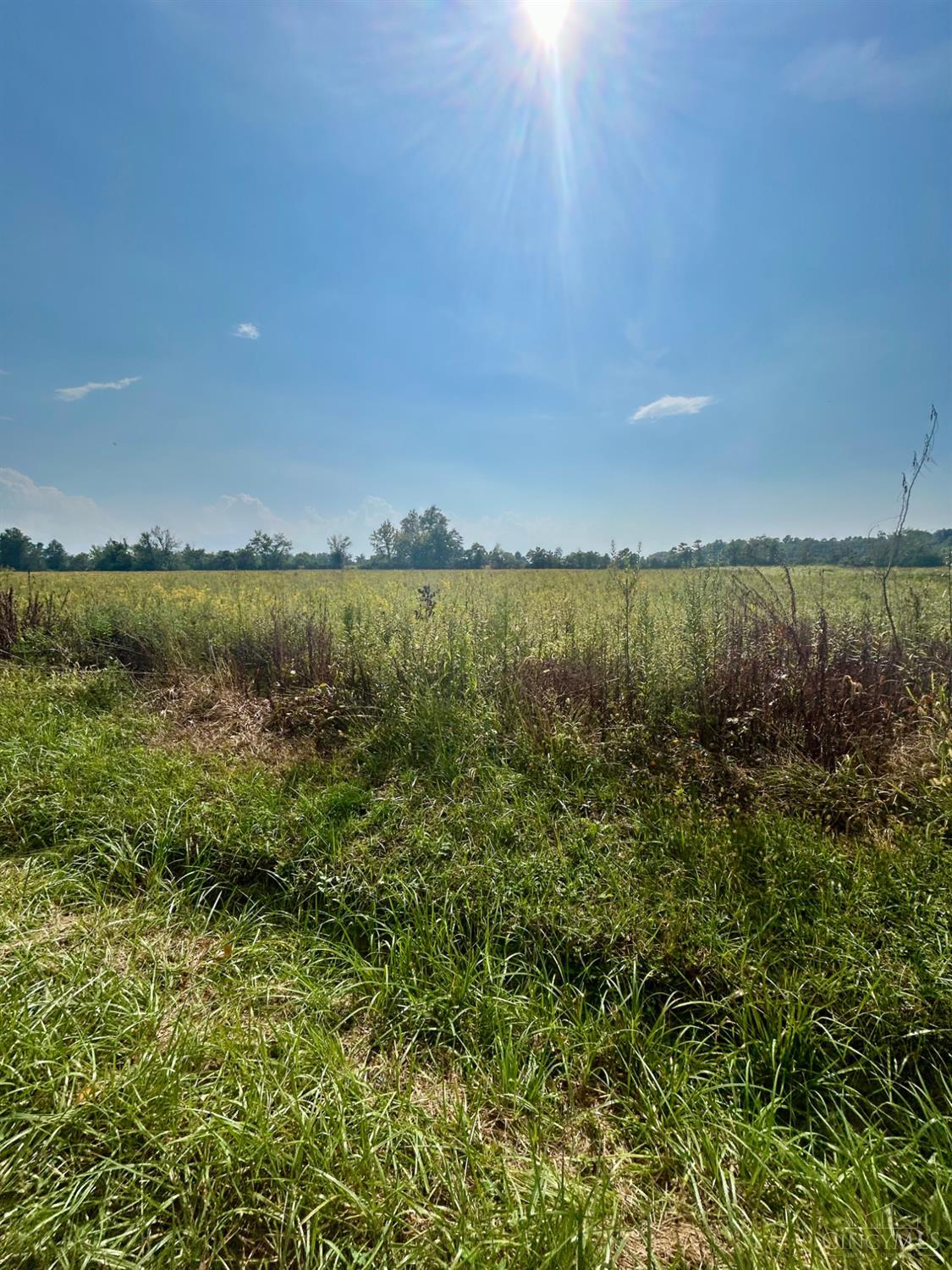 Templin Road, Harlan Twp, OH, 45107 — photo 4