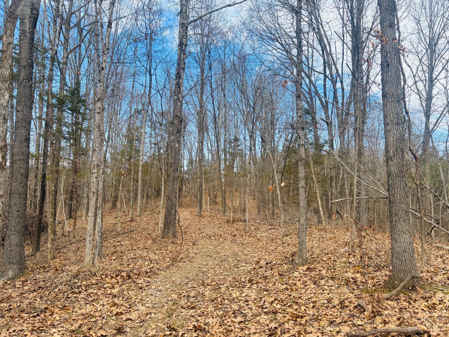 1 Snail Creek Road, Brookville, IN, 47012 — photo 11