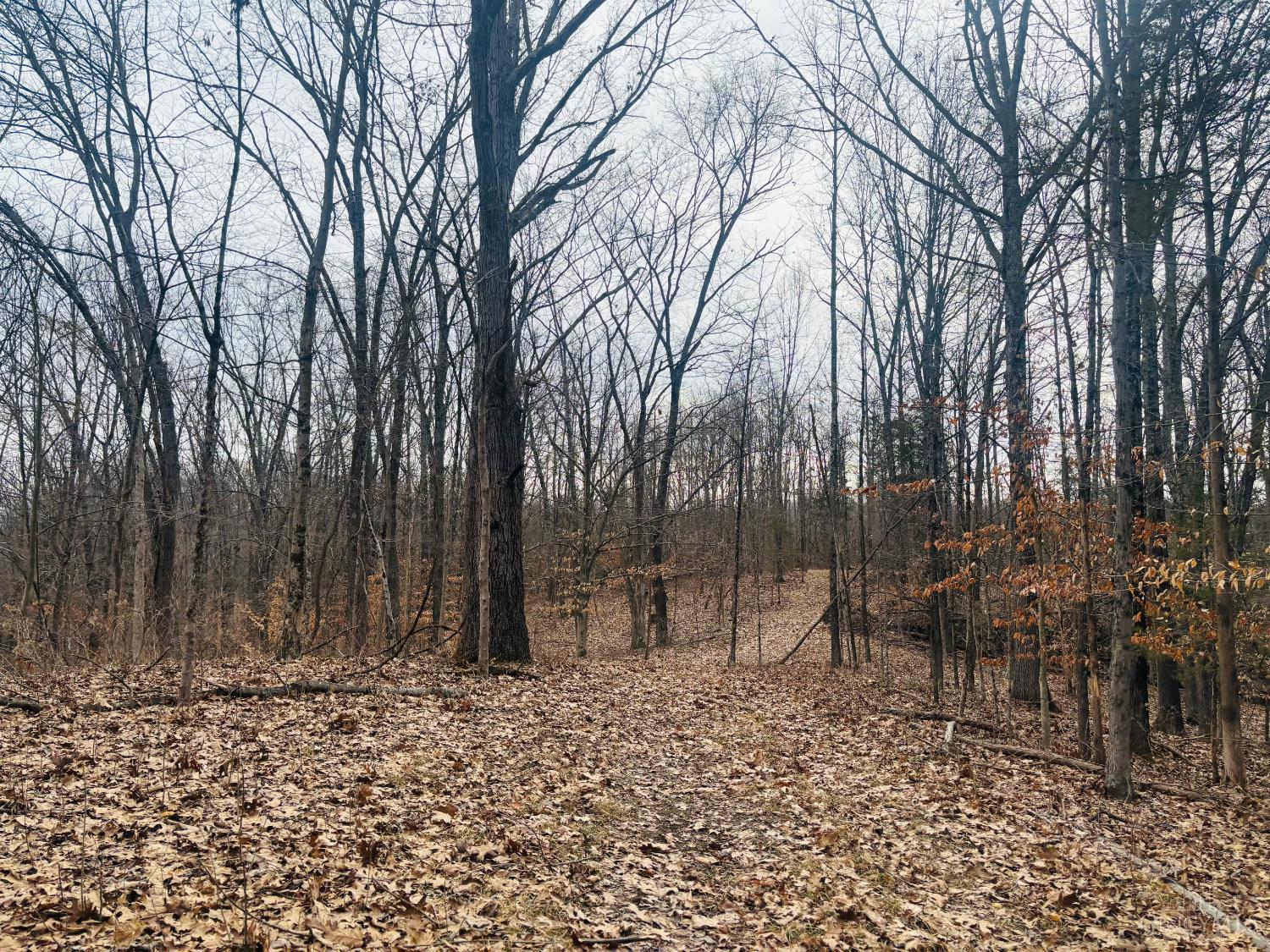 1 Snail Creek Road, Brookville, IN, 47012 — photo 10