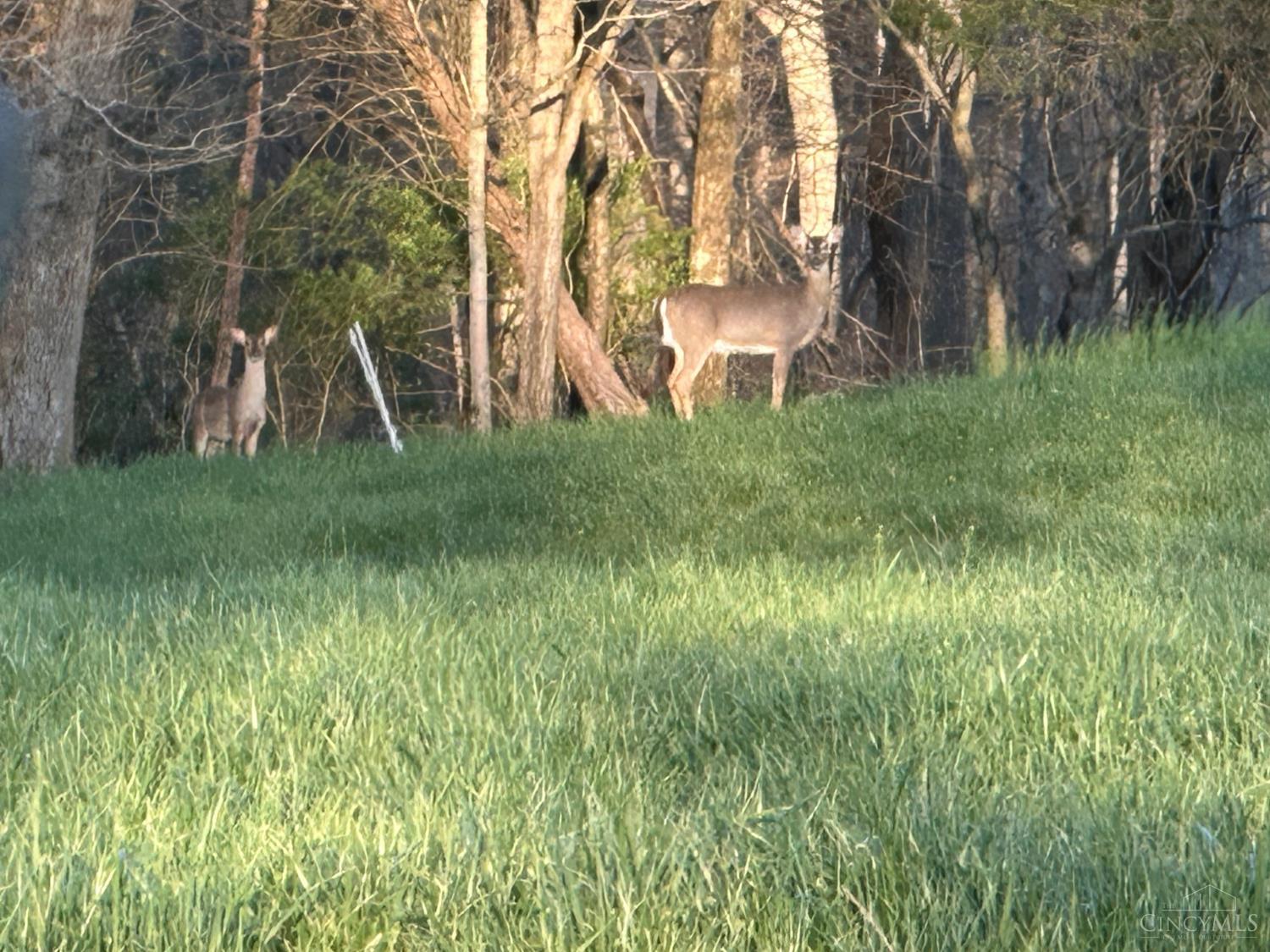 1 Snail Creek Road, Brookville, IN, 47012 — photo 9