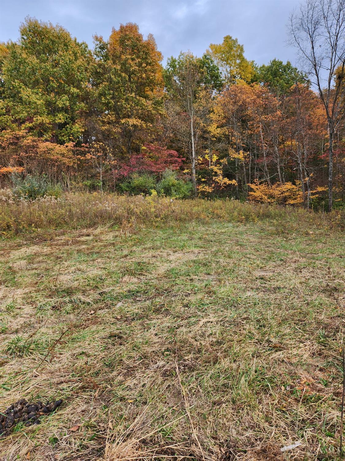 1 Snail Creek Road, Brookville, IN, 47012 — photo 19