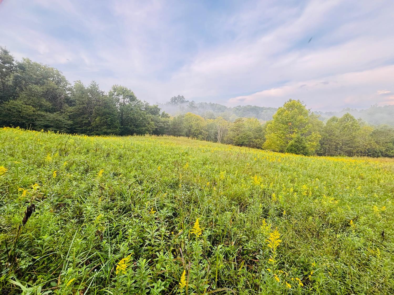 1 Snail Creek Road, Brookville, IN, 47012 — photo 4