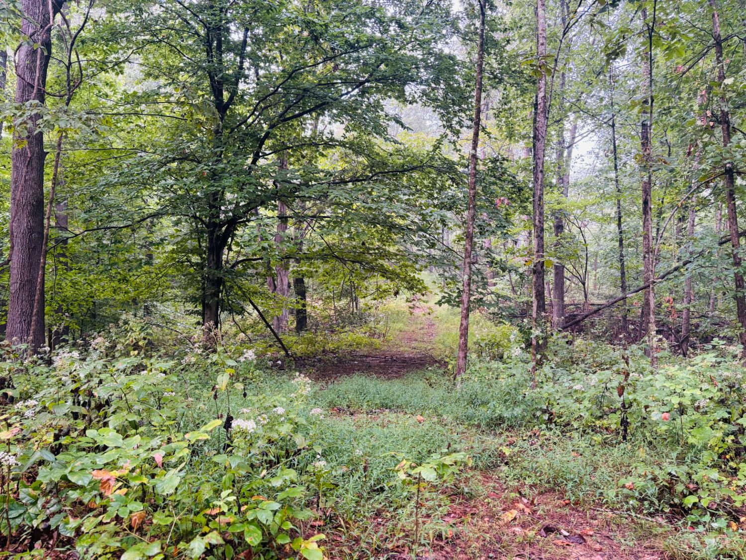 1 Snail Creek Road, Brookville, IN, 47012 — photo 16