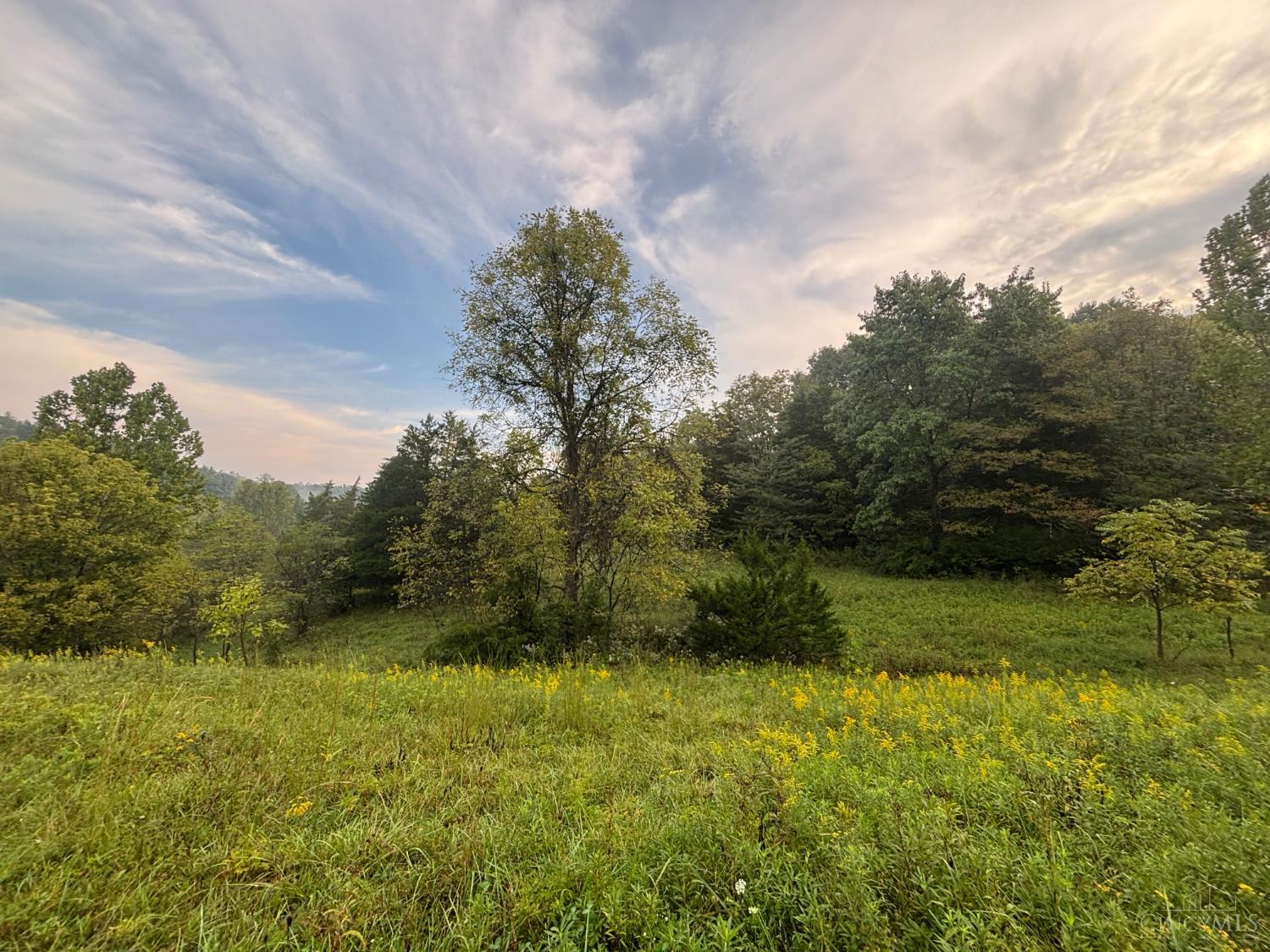 1 Snail Creek Road, Brookville, IN, 47012 — photo 5