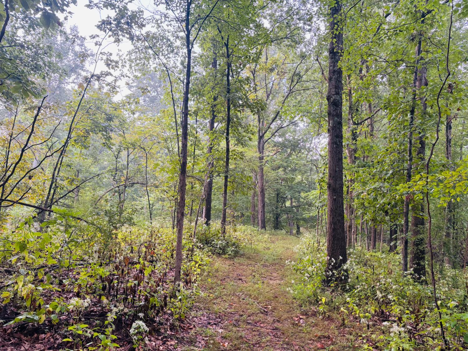 1 Snail Creek Road, Brookville, IN, 47012 — photo 18