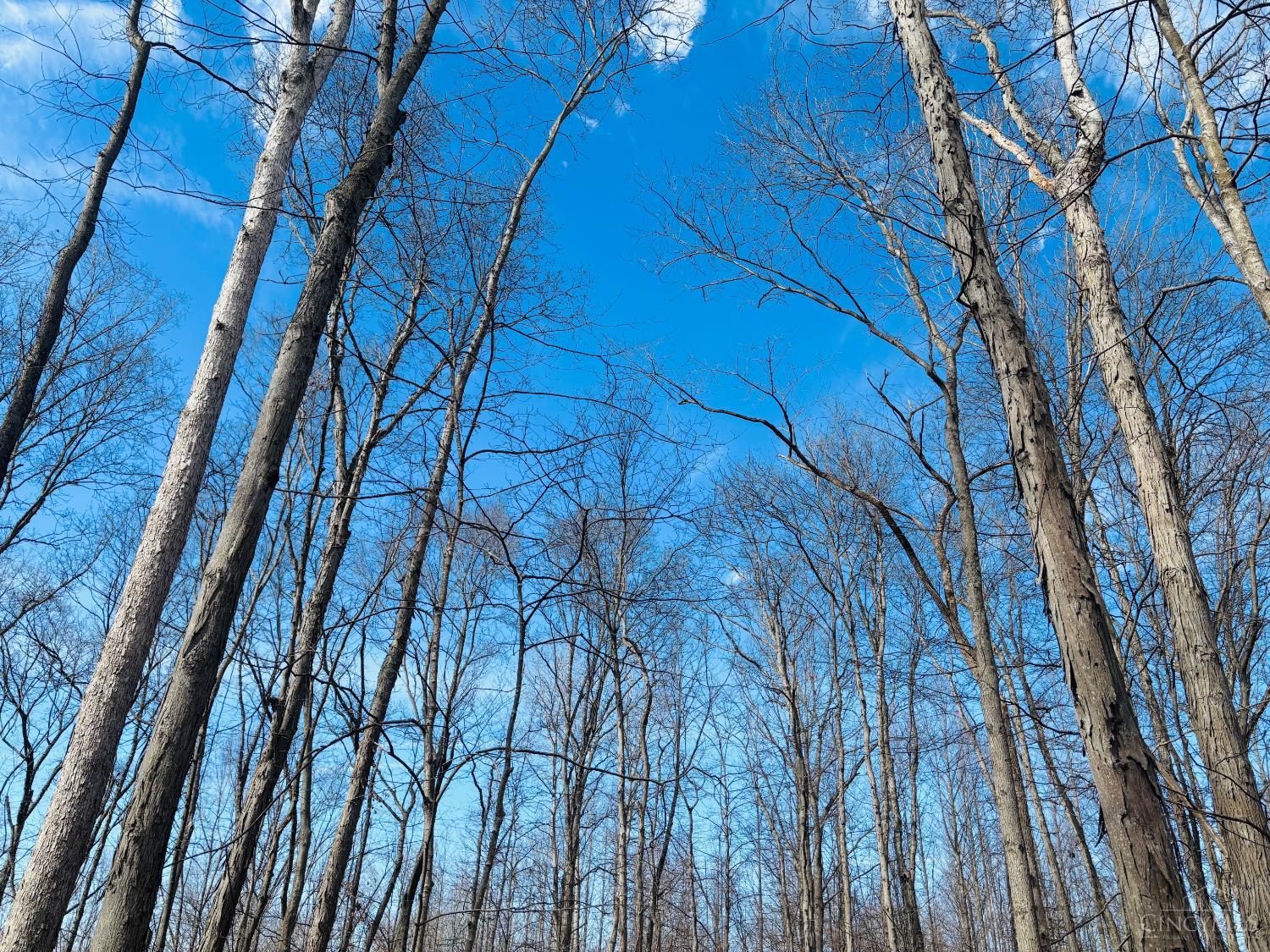 1 Snail Creek Road, Brookville, IN, 47012 — photo 13