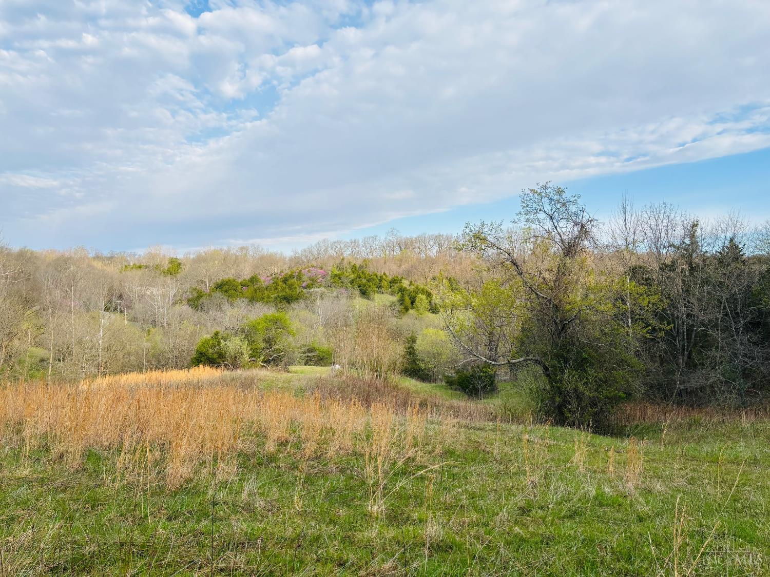 1 Snail Creek Road, Brookville, IN, 47012 — photo 7