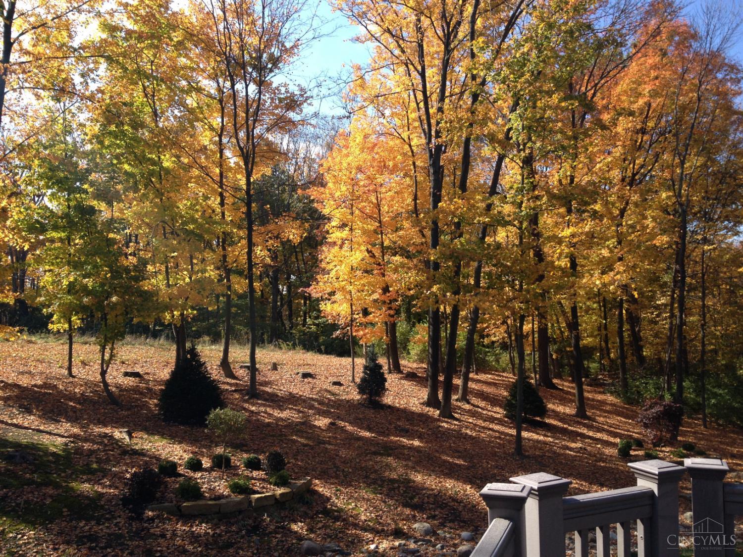 6421 Lewis Clark Trail, Sycamore Twp, OH, 45241 — photo 90