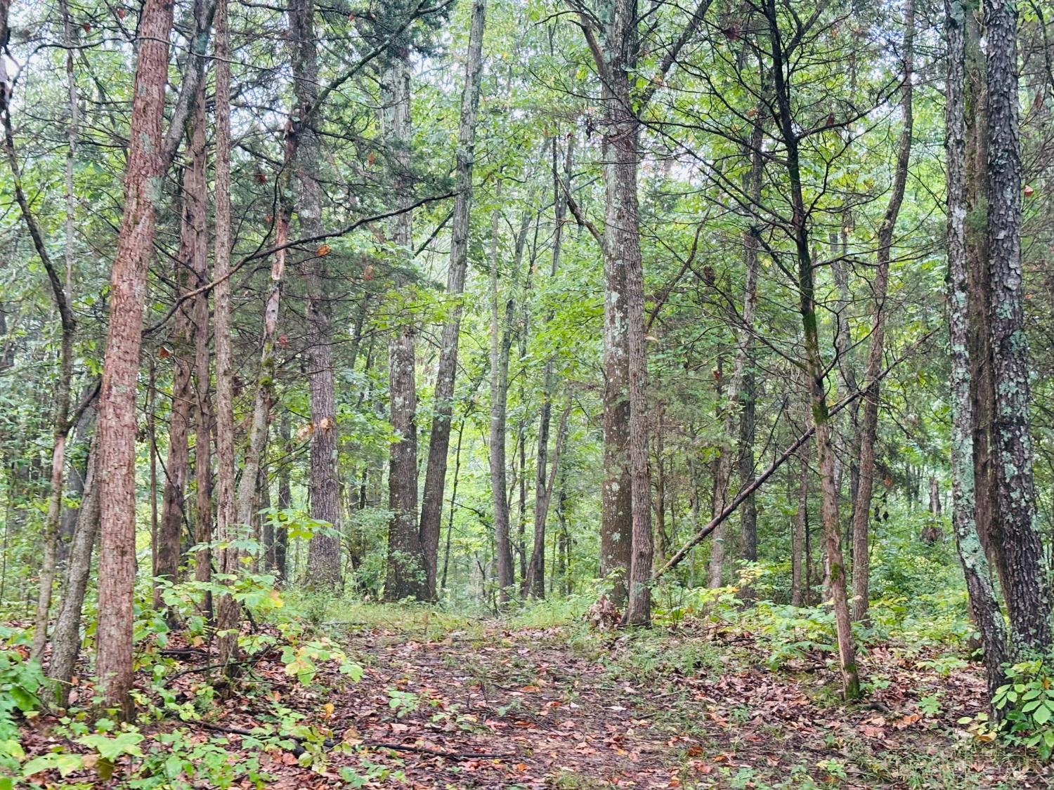 1 Snail Creek Road, Brookville, IN, 47012 — photo 17