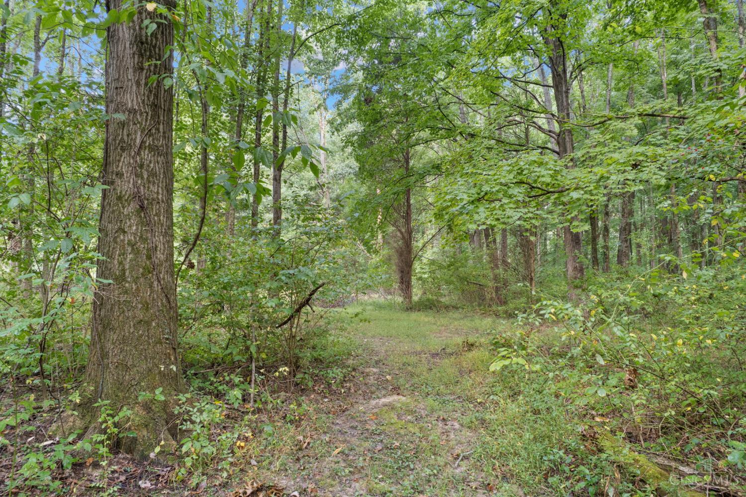 2410 Half Hill Road, Monroe Twp, OH, 45106 — photo 16