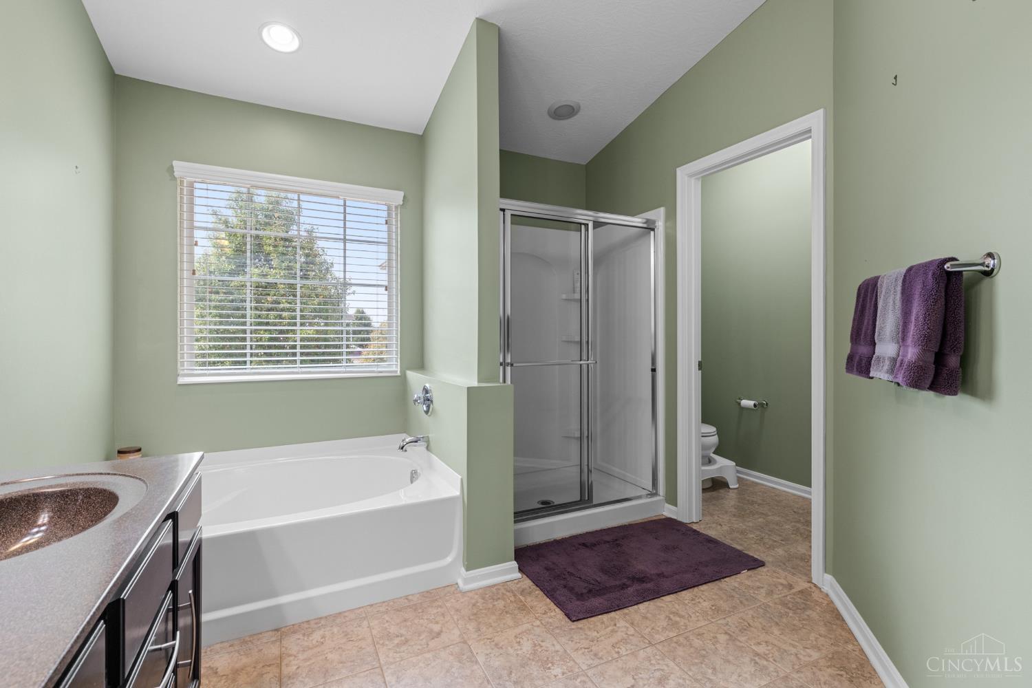 8164 Bridge Point Drive, Green Twp, OH, 45248 — photo 24