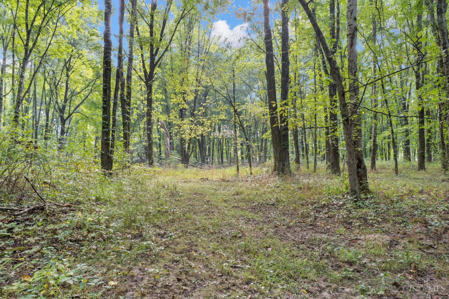 2410 Half Hill Road, Monroe Twp, OH, 45106 — photo 13