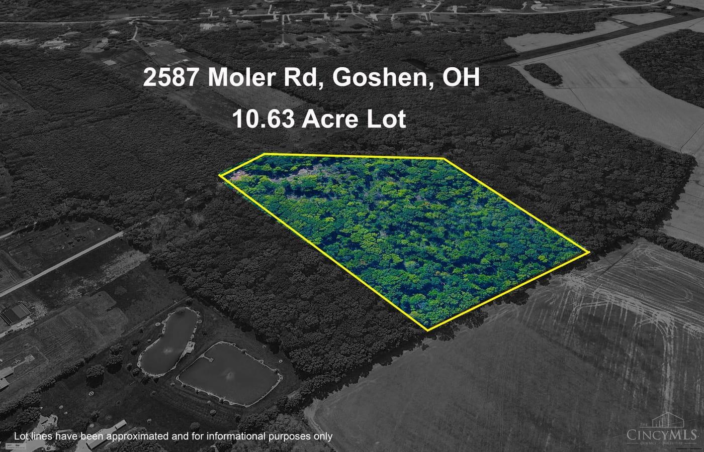 2587 Moler Road, Wayne Twp, OH, 45122 — photo 12