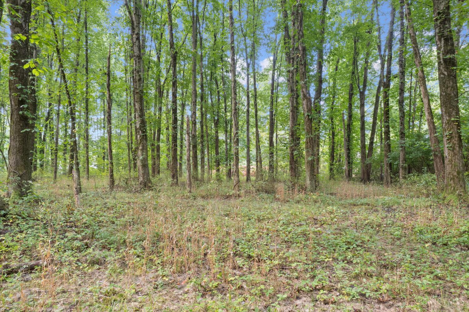2410 Half Hill Road, Monroe Twp, OH, 45106 — photo 14