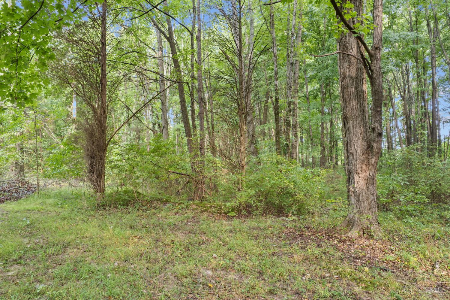 2410 Half Hill Road, Monroe Twp, OH, 45106 — photo 17