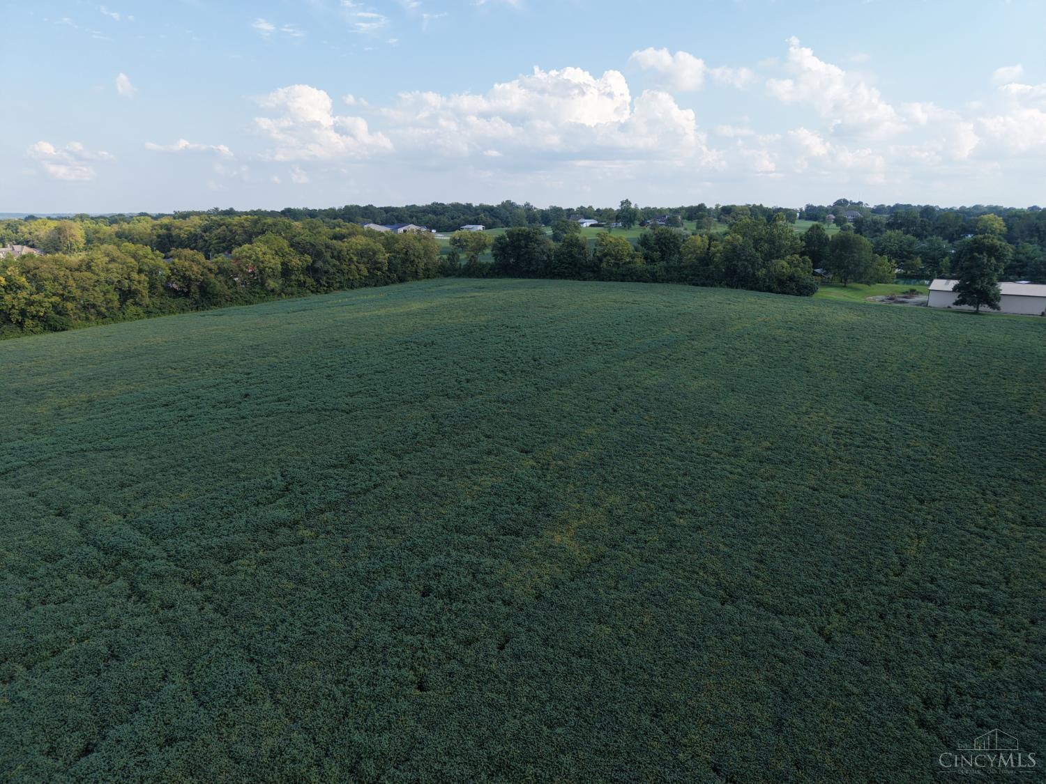 1520 Butler Warren Road, Turtle Creek Twp, OH, 45036 — photo 23