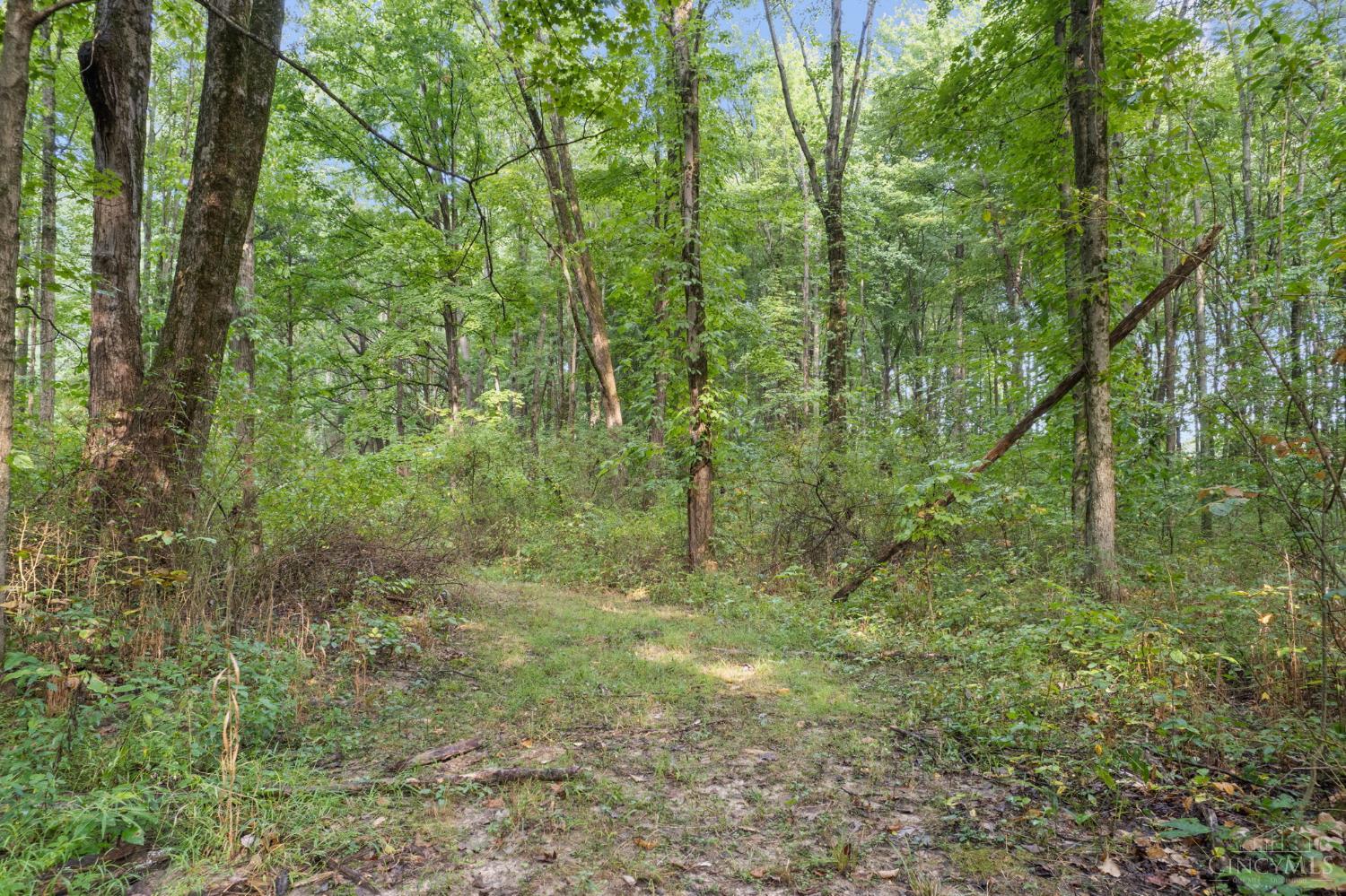 2410 Half Hill Road, Monroe Twp, OH, 45106 — photo 15