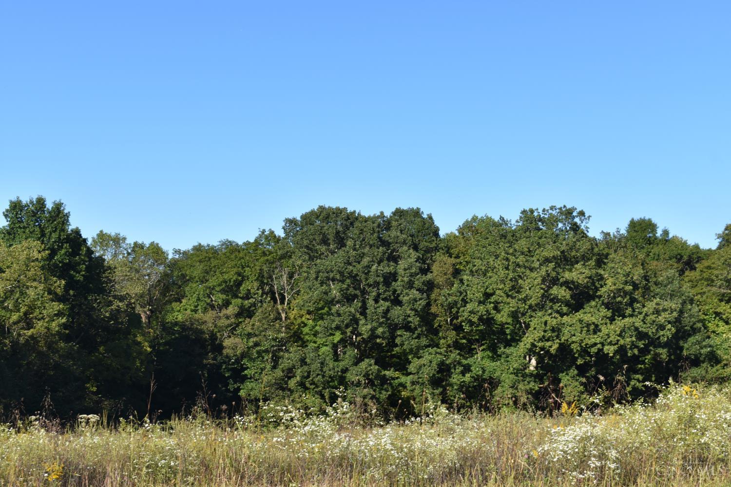 Photo 1 of Sale Pending at Sinking Springs Rd, Brushcreek Twp, OH 45133 | MLS# 1895030 | Listing updated on 2026-09-29