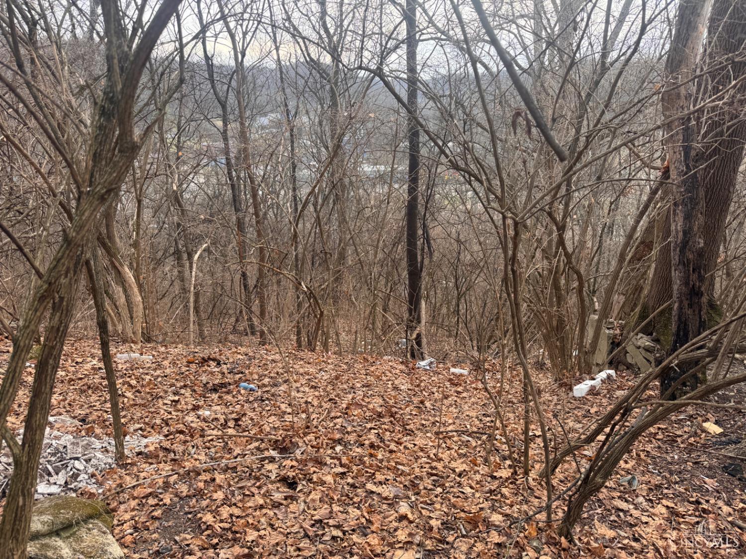Photo 2 of Land for sale at 1875 Biegler St, Cincinnati, OH 45214 | MLS# 1895417 | Listing updated on 2026-09-28