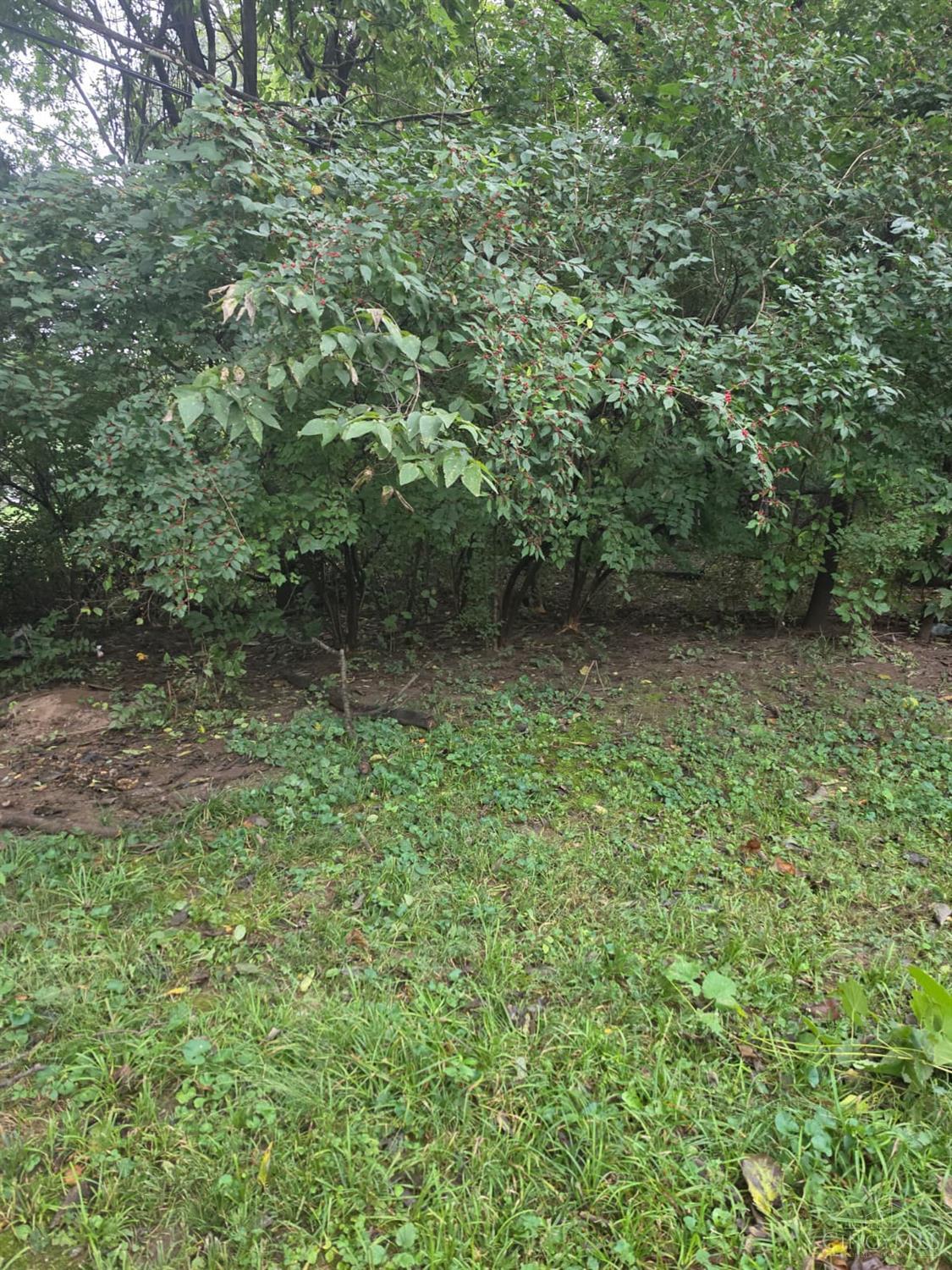Photo 2 of Single family home for sale at 3101 Finley St, Middletown, OH 45044 | MLS# 1895638 | Listing updated on 2026-09-29