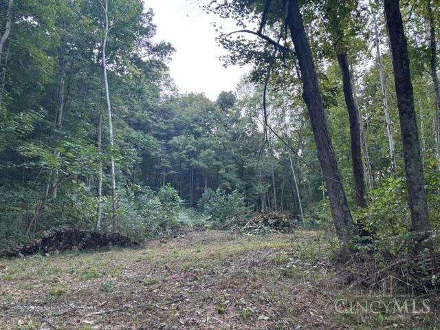 Photo 3 of Land for sale at 2750 Potts Hl Rd, Bainbridge, OH 45612 | MLS# 1881614 | Listing updated on 2026-10-02
