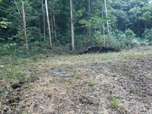 Photo 3 of Land for sale at 2750 Potts Hl Rd, Bainbridge, OH 45612 | MLS# 1881614 | Listing updated on 2026-10-02