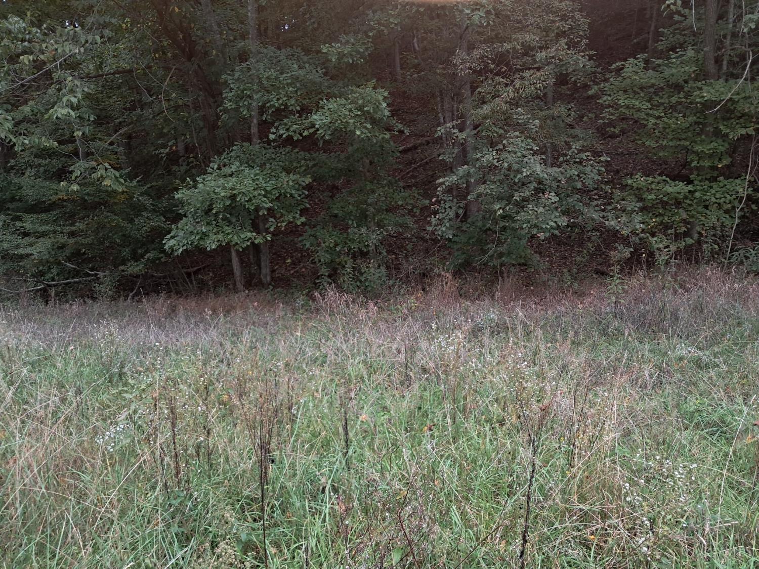 Photo 3 of Single family home for sale at 2704 Churn Crk Rd, Blue Creek, OH 45616 | MLS# 1896180 | Listing updated on 2026-10-05