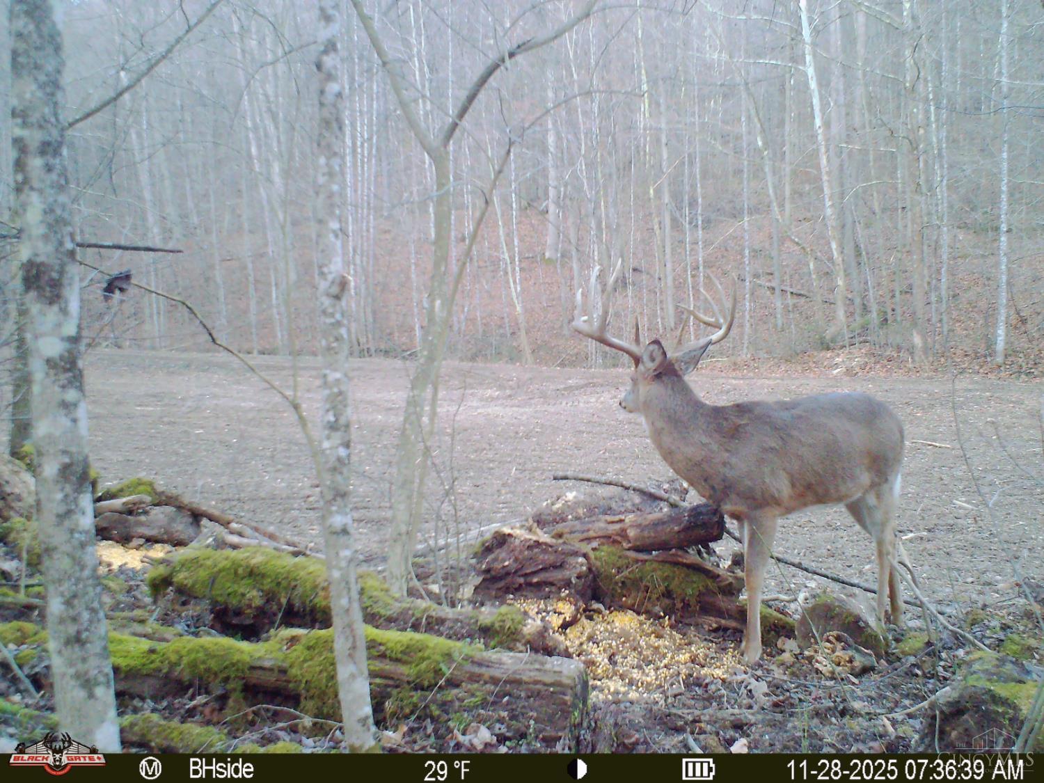 Photo 4 of Land for sale at S Side Chenoweth Frk Rd, Sunfish Twp, OH 45660 | MLS# 1896288 | Listing updated on 2026-10-06