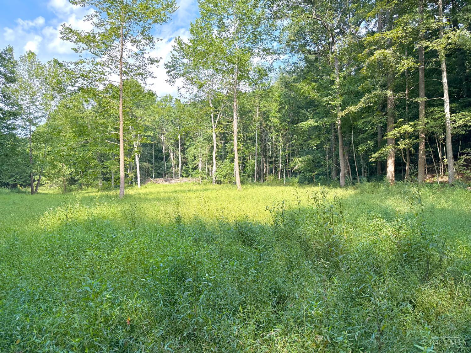 Land for sale at S Side Chenoweth Frk Rd, Sunfish Twp, OH 45660 | MLS# 1896288