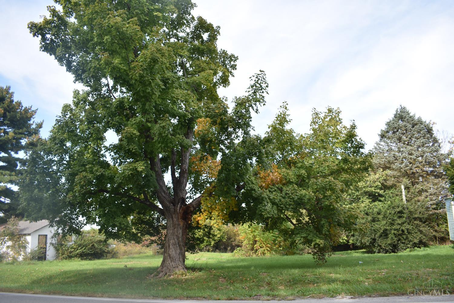 Photo 4 of Single family home for sale at 6195 State Route 124, Hillsboro, OH 45133 | MLS# 1896919 | Listing updated on 2026-10-10