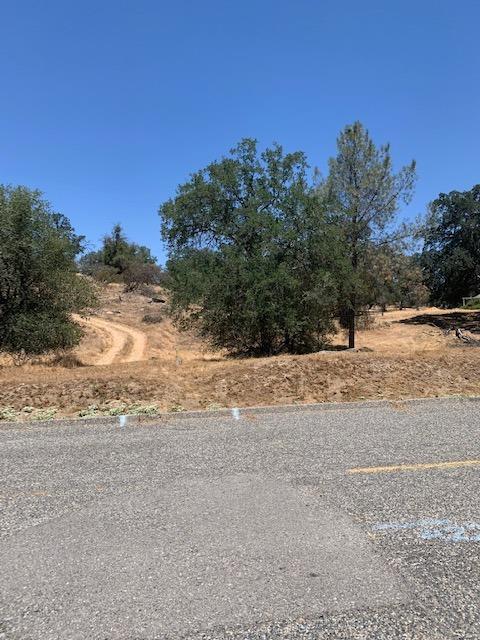 Photo of 1 Deer Trail Wy in Coarsegold, CA