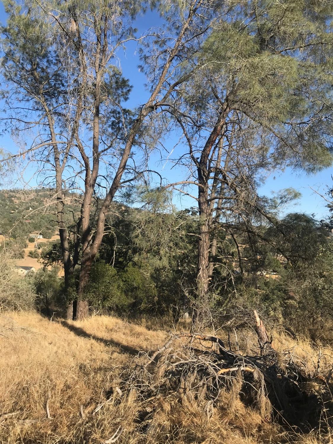 Photo of 1 Jim Bowie Ct in Coarsegold, CA