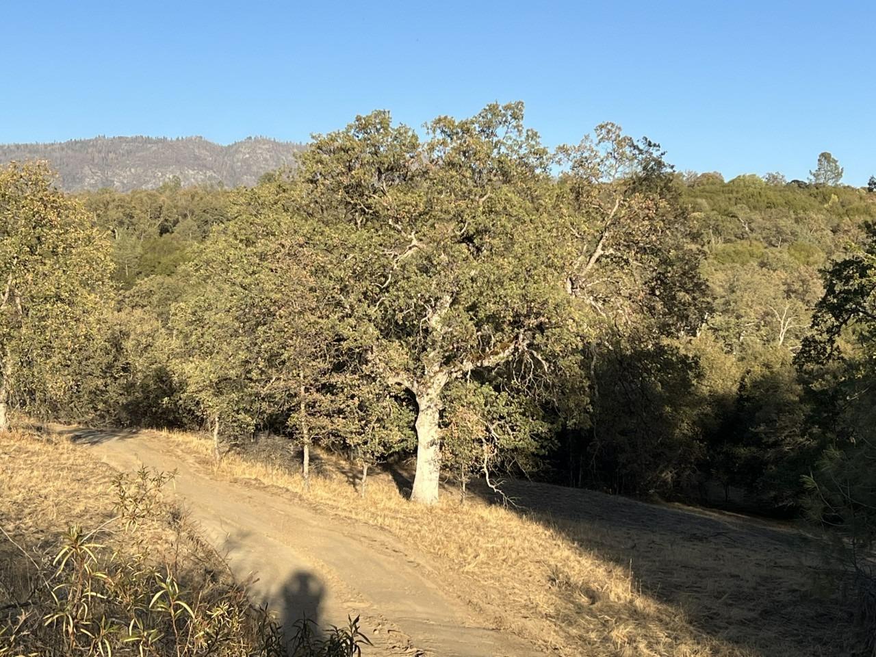 Photo of 0 Rd 200 in North Fork, CA