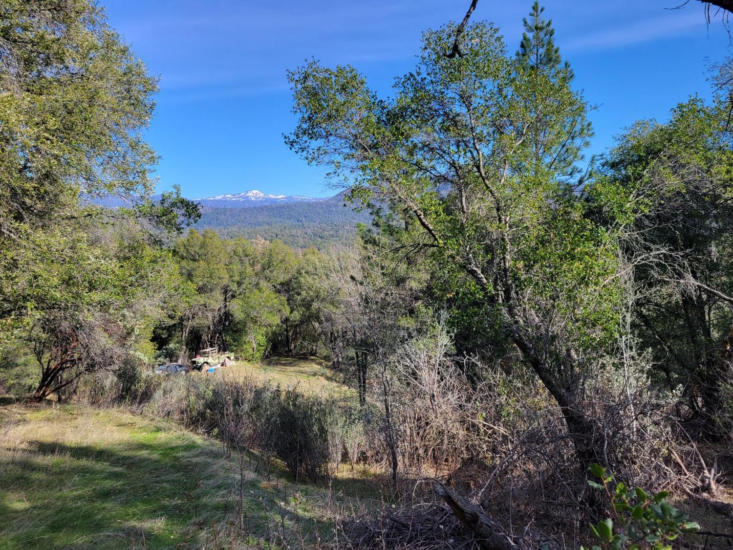 Photo of 0 China Creek Wy in Oakhurst, CA