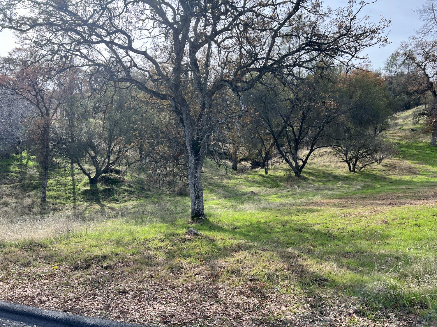 Photo of 893 Jim Bowie Ct in Coarsegold, CA