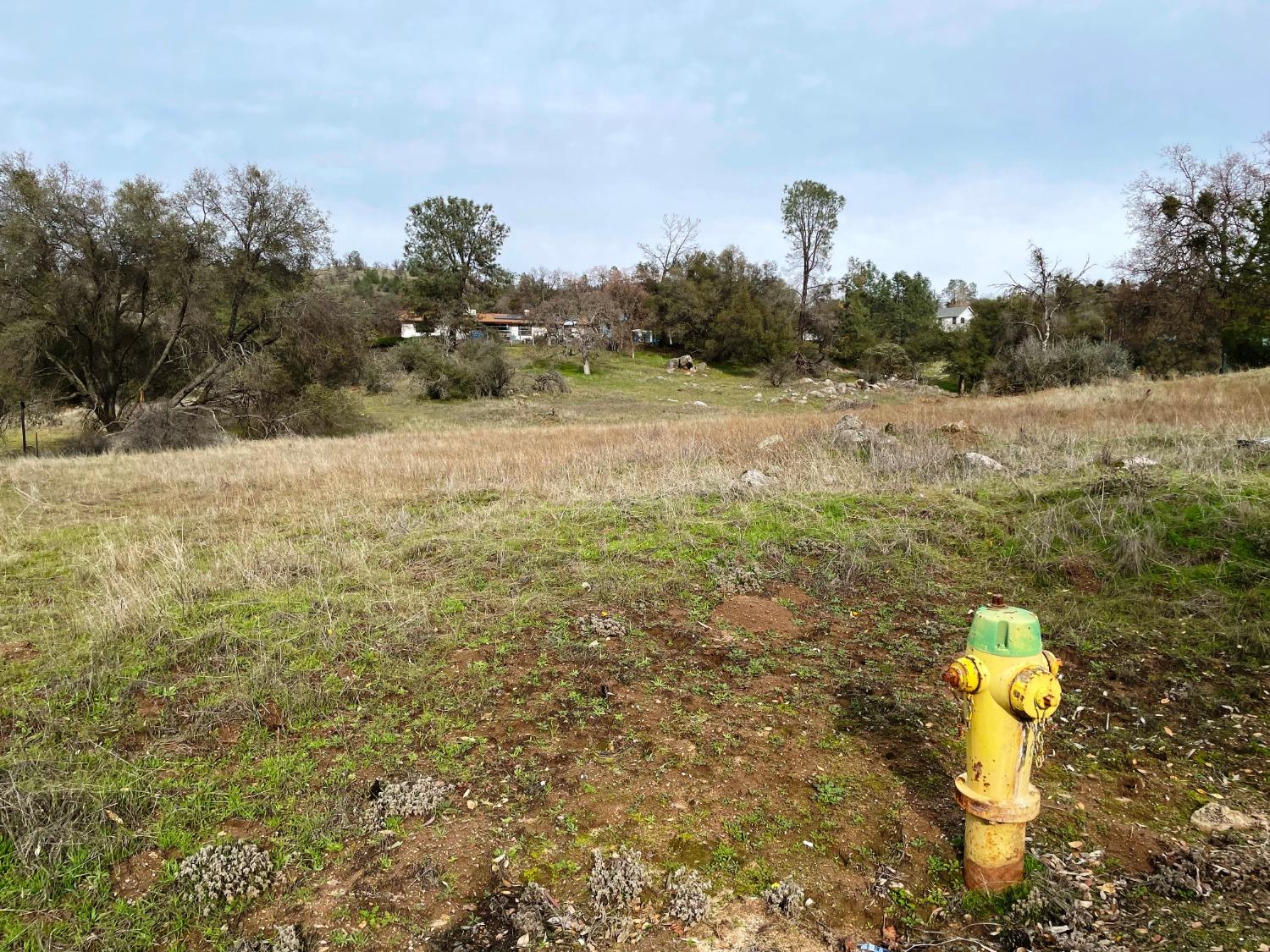 Photo of 1 Revis Rd in Coarsegold, CA