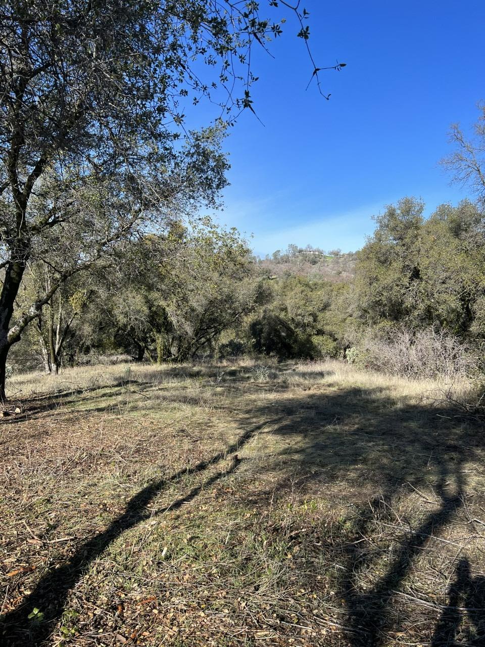 Photo of 0 Stone Creek Dr in Coarsegold, CA