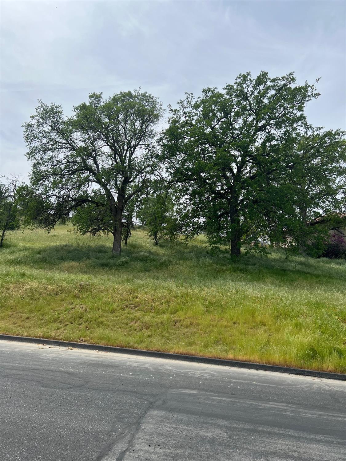 Photo of 0 Lot 2 Fairway Oak in Friant, CA