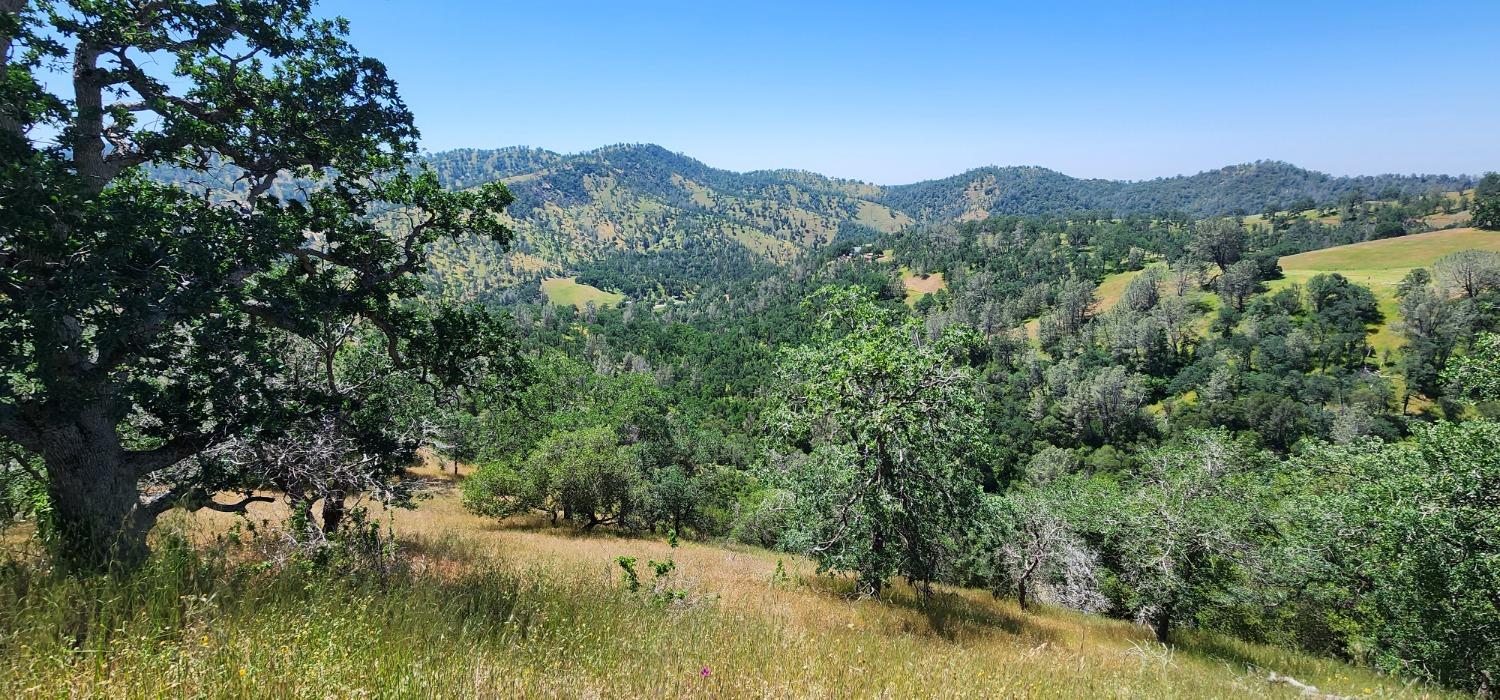 Photo of 1111 Lazy L Summit Ln in Coarsegold, CA